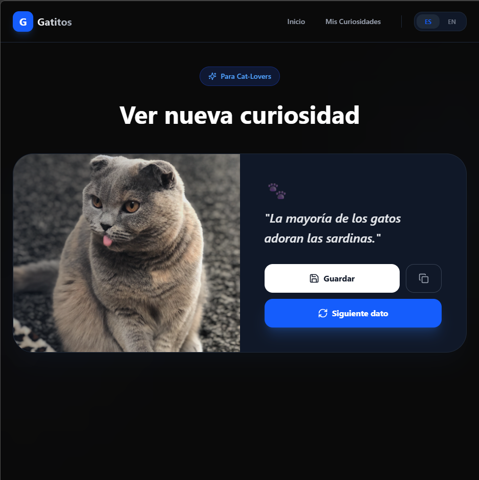 Curiosidades de gatitos